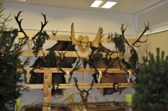 Wystawa po�wiecona �owiectwu i&nbsp;my�listwu