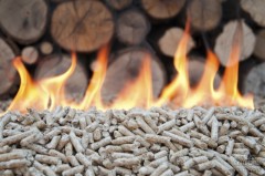 Jest szansa na monta kotw na biomas