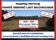 Petycja w obronie biłgorajskich lasów
