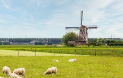 Praca - Holandia i korzyci, jakie ze sob niesie podjcie decyzji o wyjedzie