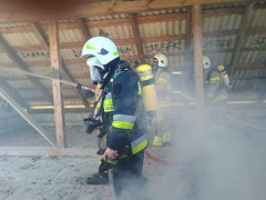 Druhowie doskonal� umiej�tno�ci