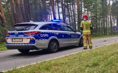 Rozlana substancja na jezdni. Auto wyl�dowa�o w&nbsp;rowie