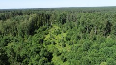 Na terenie powiatu powsta� nowy rezerwat przyrody