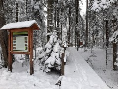 Roztoczański Park Narodowy apeluje o ostrożność na szlakach