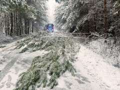 Atak zimy w&nbsp;powiecie. Stra�acy interweniowali 27 razy