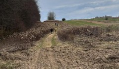 Wypadek quada na granicy powiat�w