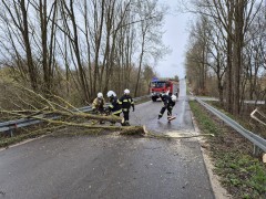 11 zdarzeń związanych z silnym wiatrem. Strażacy w akcji