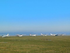 Czterodniowa akcja szczepie� przeciwko w�ciekli�nie. Jest apel do mieszka�c�w