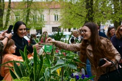 Kiermasz kwiat�w przyci�ga t�umy [NOWE ZDJ�CIA]