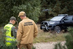 Lasy pod kontrol� podczas maj�wki. B�d� patrole i&nbsp;mandaty