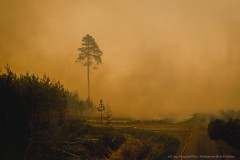 Trwa dramatyczna walka z&nbsp;�ywio�em. Konieczna by�a ewakuacja gminnego przytuliska