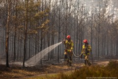 Informacje Pa�stwowej Stra�y Po�arnej ws. po�aru kompleksu le�nego w&nbsp;powiecie bi�gorajskim