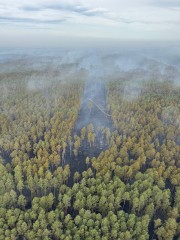 Sp�on�y bezcenne tereny przyrodnicze. Ogie� obj�� torfowiska i&nbsp;tereny Natura 2000