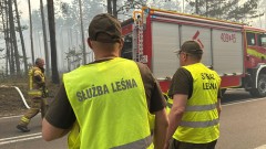 Puszcza Solska nadal pod nadzorem służb