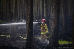 Siódmy dzień akcji gaśniczej w Puszczy Solskiej. DW 849 nadal zablokowana