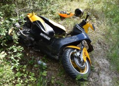 Kieruj�cy skuterem zderzy� si� z&nbsp;jeleniem