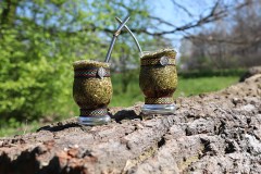 Yerba mate na zimno - hit tego lata. Jak przygotować yerba mate tereré?
