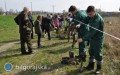 1050 drzew i krzeww na 1050. rocznic chrztu Polski