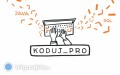 Projekt Koduj_Pro w Aleksandrowie