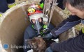 Pies wpadł do studni, uratowali go strażacy