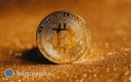 Bitcoin i zoto