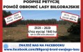 Petycja w obronie biłgorajskich lasów