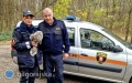 Nie udało się uratować puszczyka znalezionego w Biłgoraju