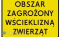 Nadzwyczajne rodki ostronoci w powiecie bigorajskim po wykryciu wcieklizny