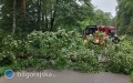 Wietrzna niedziela w powiecie bigorajskim. Straacy w gotowoci