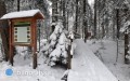 Roztocza�ski Park Narodowy apeluje o&nbsp;ostro�no�� na szlakach