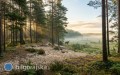 Kampinoski Park Narodowy - atrakcje, szlaki i&nbsp;praktyczny przewodnik
