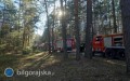 Du�y po�ar w&nbsp;powiecie. 16 zast�p�w stra�y i&nbsp;�mig�owiec w&nbsp;akcji