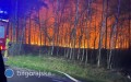 Tragedia podczas gaszenia po�aru. Rozbi� si� samolot ga�niczy