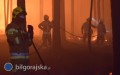 Po�ar przekroczy� drog� wojew�dzk�. Trudna akcja ga�nicza w&nbsp;powiecie bi�gorajskim