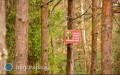 Wprowadzono zakaz wst�pu do las�w na Roztoczu