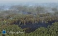 Informacje Pa�stwowej Stra�y Po�arnej ws. po�aru kompleksu le�nego w&nbsp;powiecie bi�gorajskim