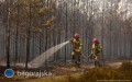 Informacje Pa�stwowej Stra�y Po�arnej ws. po�aru kompleksu le�nego w&nbsp;powiecie bi�gorajskim