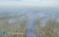 Sp�on�y bezcenne tereny przyrodnicze. Ogie� obj�� torfowiska i&nbsp;tereny Natura 2000