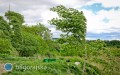 IMGW ostrzega przed wichur� w&nbsp;powiecie bi�gorajskim