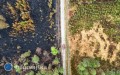 Koniec akcji ga�niczej w&nbsp;Puszczy Solskiej. Le�nicy rozpoczynaj� ocen� strat