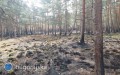 Po�ar zniszczy� teren planowanego rezerwatu w&nbsp;powiecie bi�gorajskim