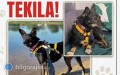 Trwaj� poszukiwania Tekili. Zwierz� zagin�o w&nbsp;Bi�goraju