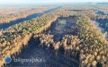 Plan le�nik�w na odbudow� Puszczy Solskiej