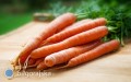 Nasiona marchwi - odmiany wczesne i&nbsp;p�ne dla ogrodu i&nbsp;dzia�ki