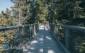 �cie�ka w&nbsp;koronach drzew na Roztoczu coraz bli�ej