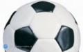 Rusza Halowa Liga Piłki Nożnej o Puchar Burmistrza Miasta Biłgoraj