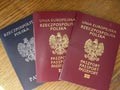 Paszporty co rok