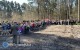 350 osób wzięło udział w akcji "Łączą nas drzewa"
