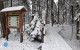Roztocza�ski Park Narodowy apeluje o&nbsp;ostro�no�� na szlakach