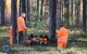 Mi�dzynarodowe praktyki dla przysz�ych le�nik�w